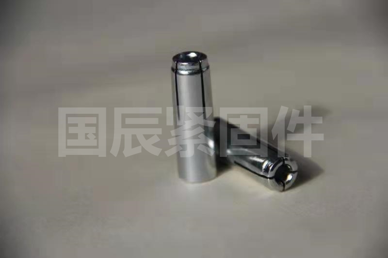 内迫壁虎